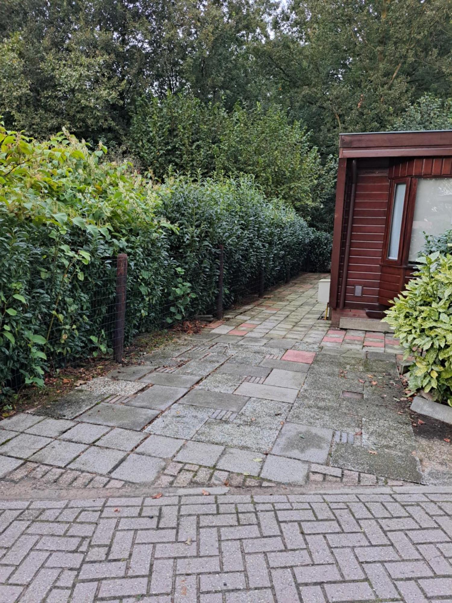 Chalet Rustiek Bos Sven Putten